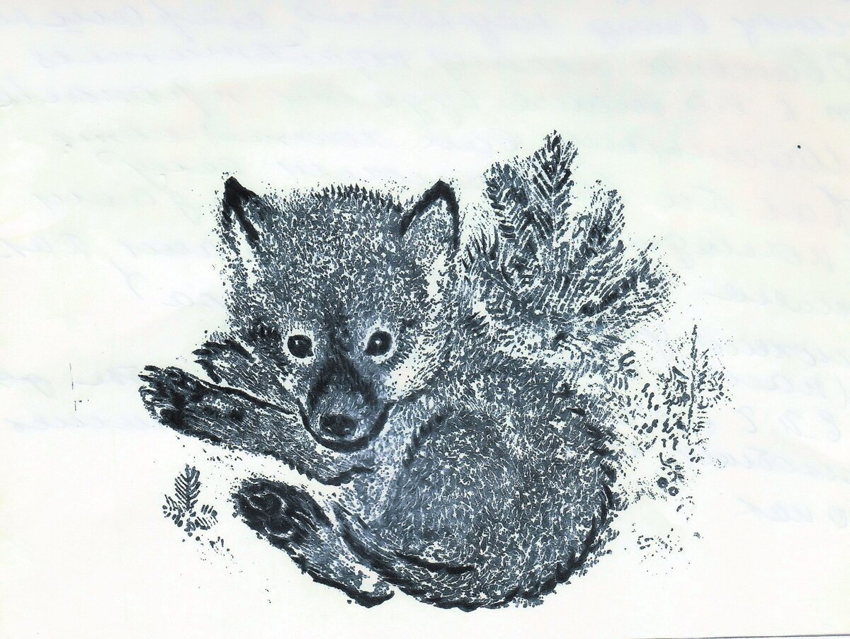 Волчишко раскраска для детей