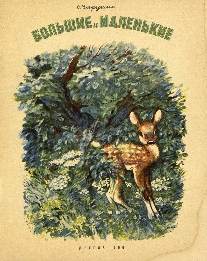 Томка Чарушин рисунок