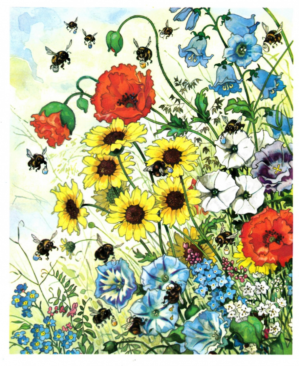 Иллюстратор Баумгартен Фриц