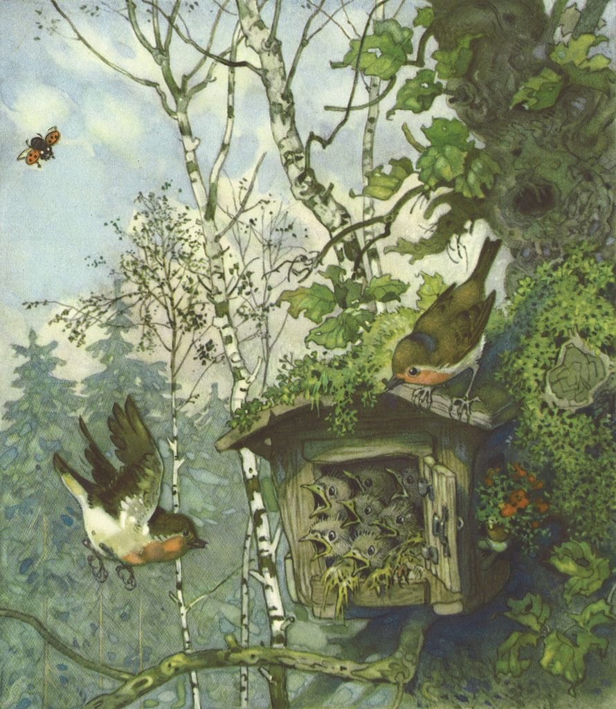 Fritz Baumgarten иллюстрации