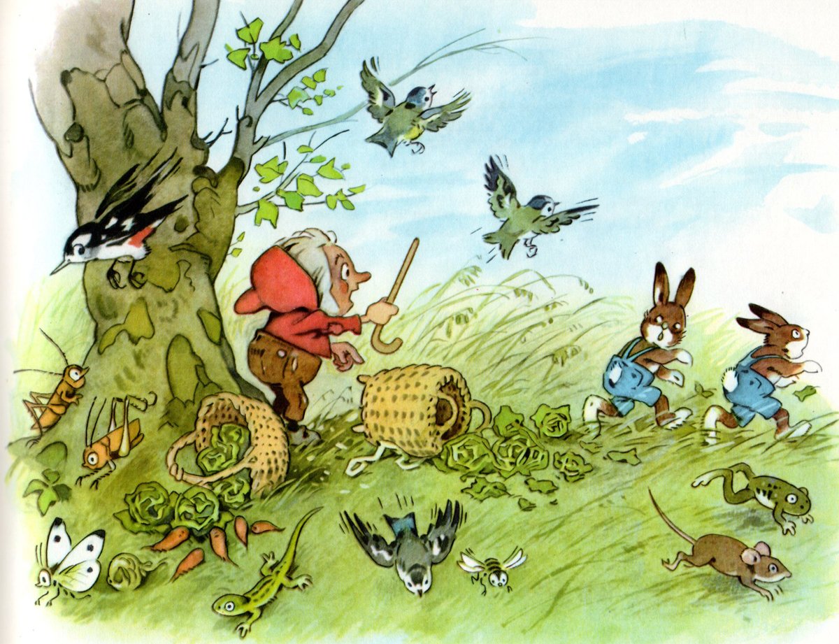 Иллюстрации Фриц Баумгартен насекомые