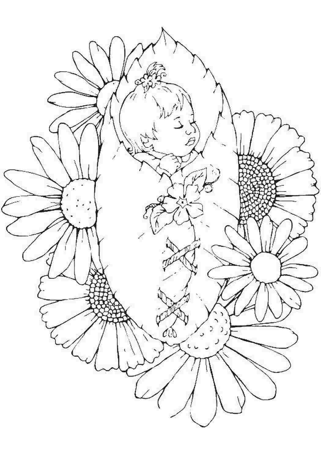 Раскраска Фея Клара