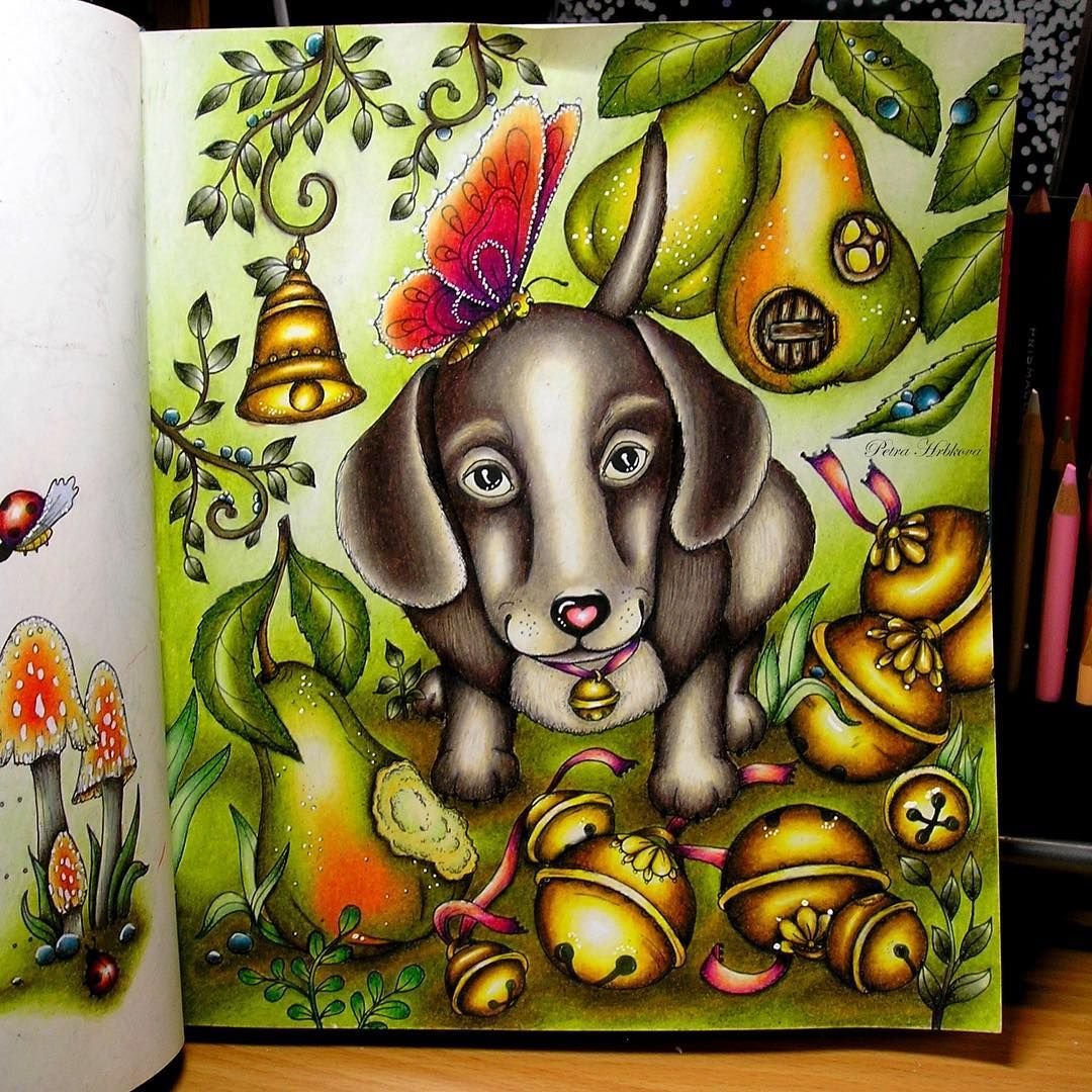 Раскраска Fairy Touch of Magic от Klara Markova