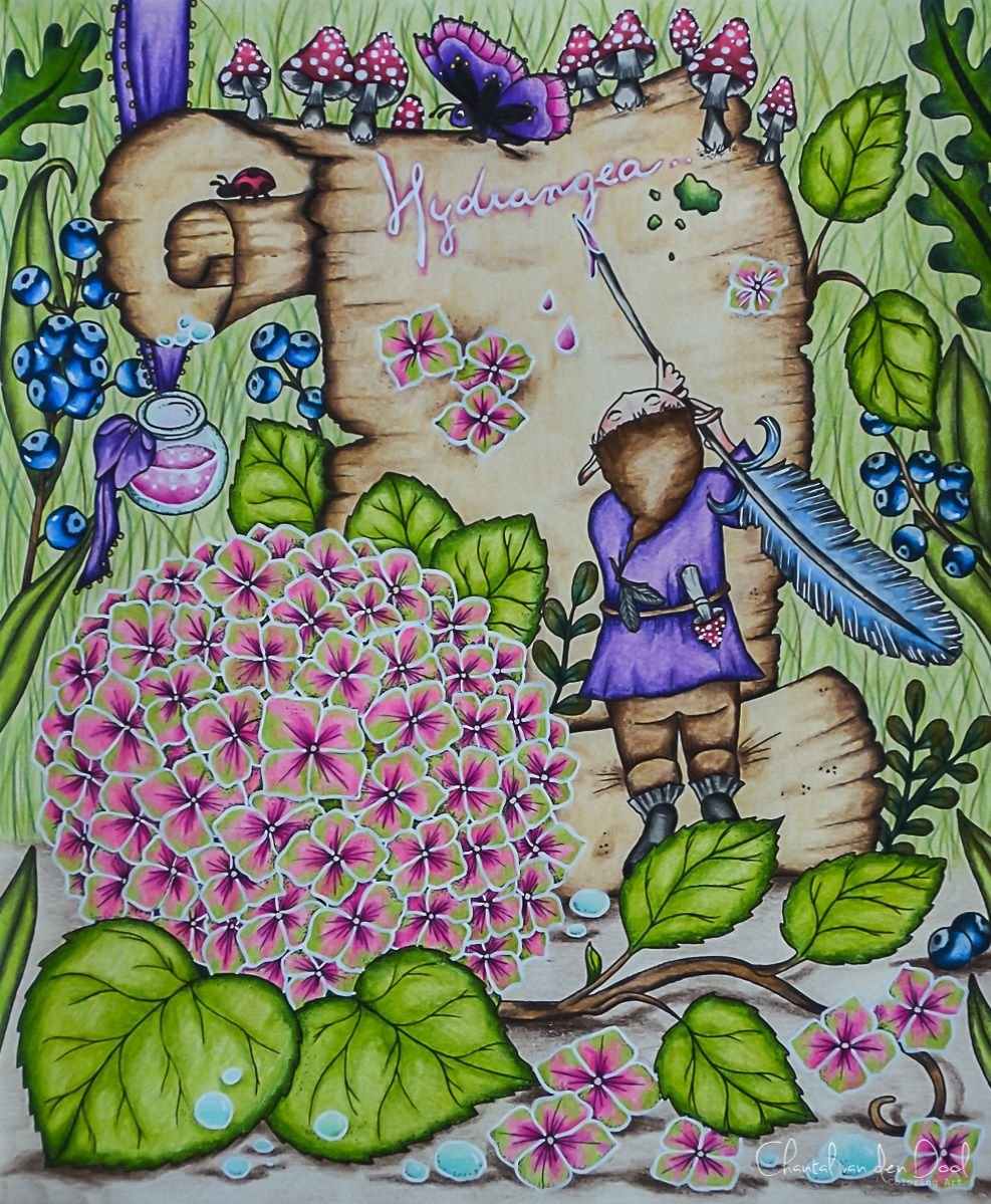 Клара Маркова иллюстрации