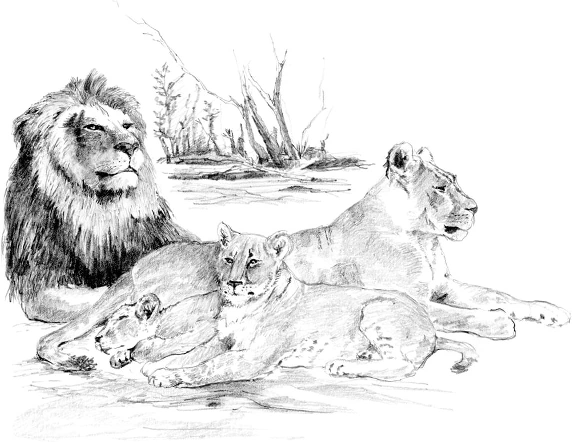 Рисунки карандашом