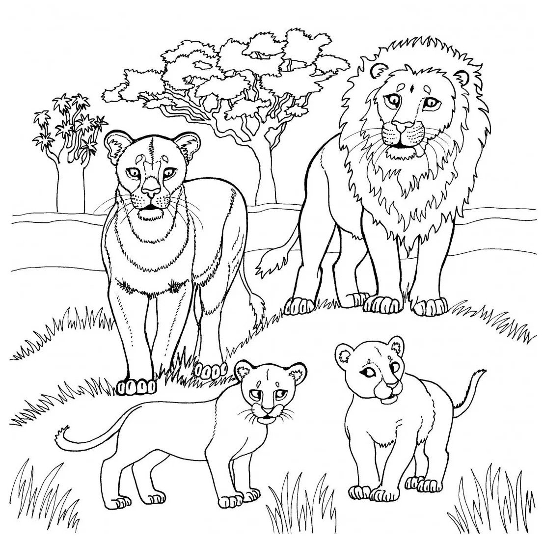 Раскраска "Дикие животные"