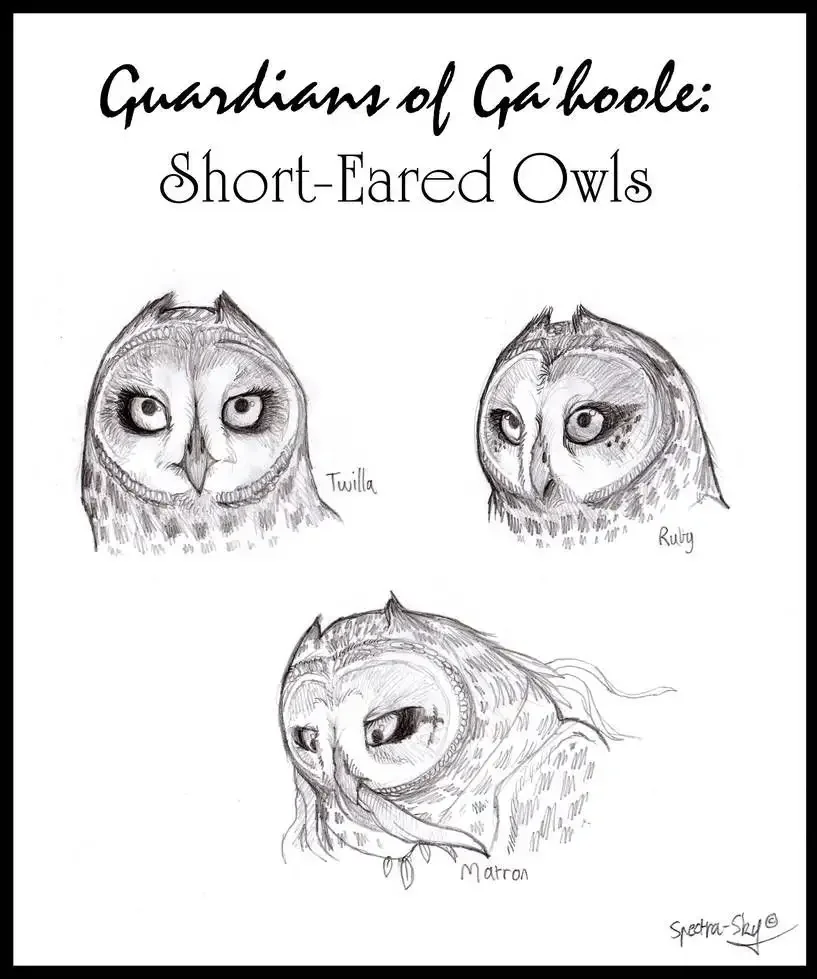 Легенды ночных стражей раскраска