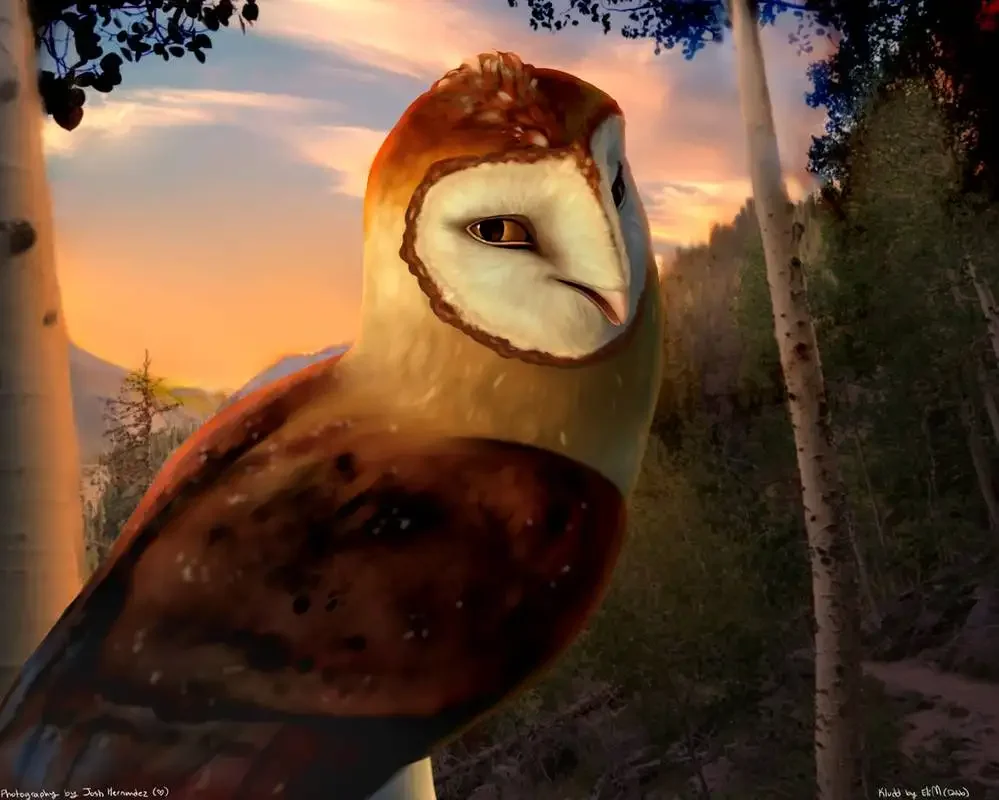 Мифы про сов