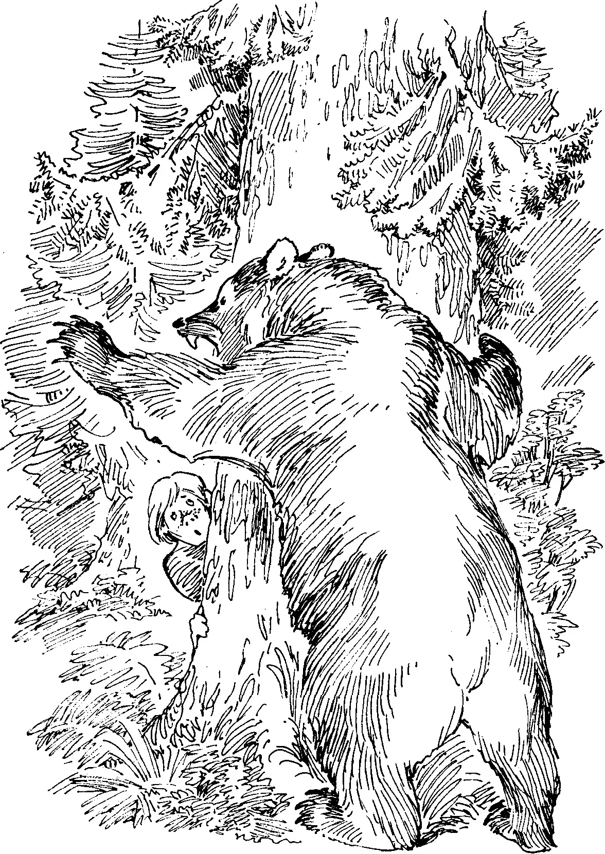Рассказ паустовского медведь. Дремучий медведь Паустовский. Дремучий медведь Паустовский рисунок. Медведь Бианки. Паустовский дремучий медведь раскраска.