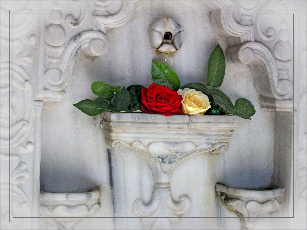 Бахчисарайский фонтан Пушкин две розы