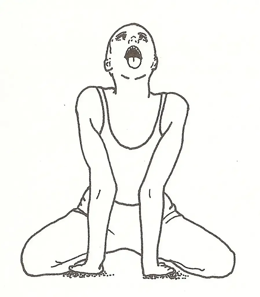 Йога поза Льва Симхасана