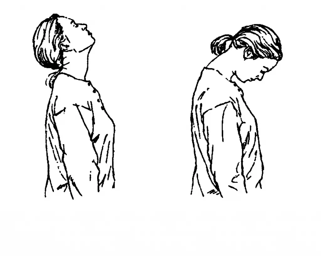 Наклоны головы вперед назад