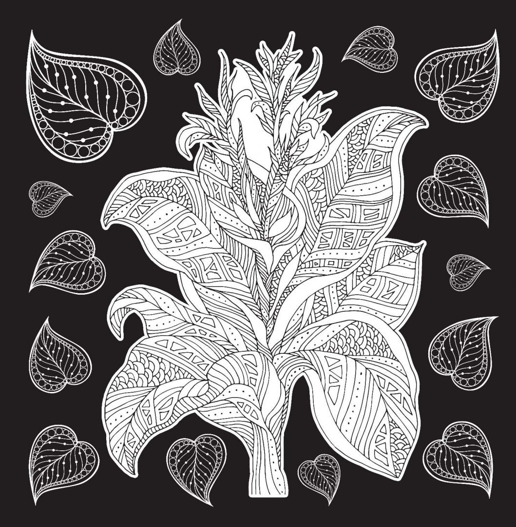 Задания для детей Найди тень