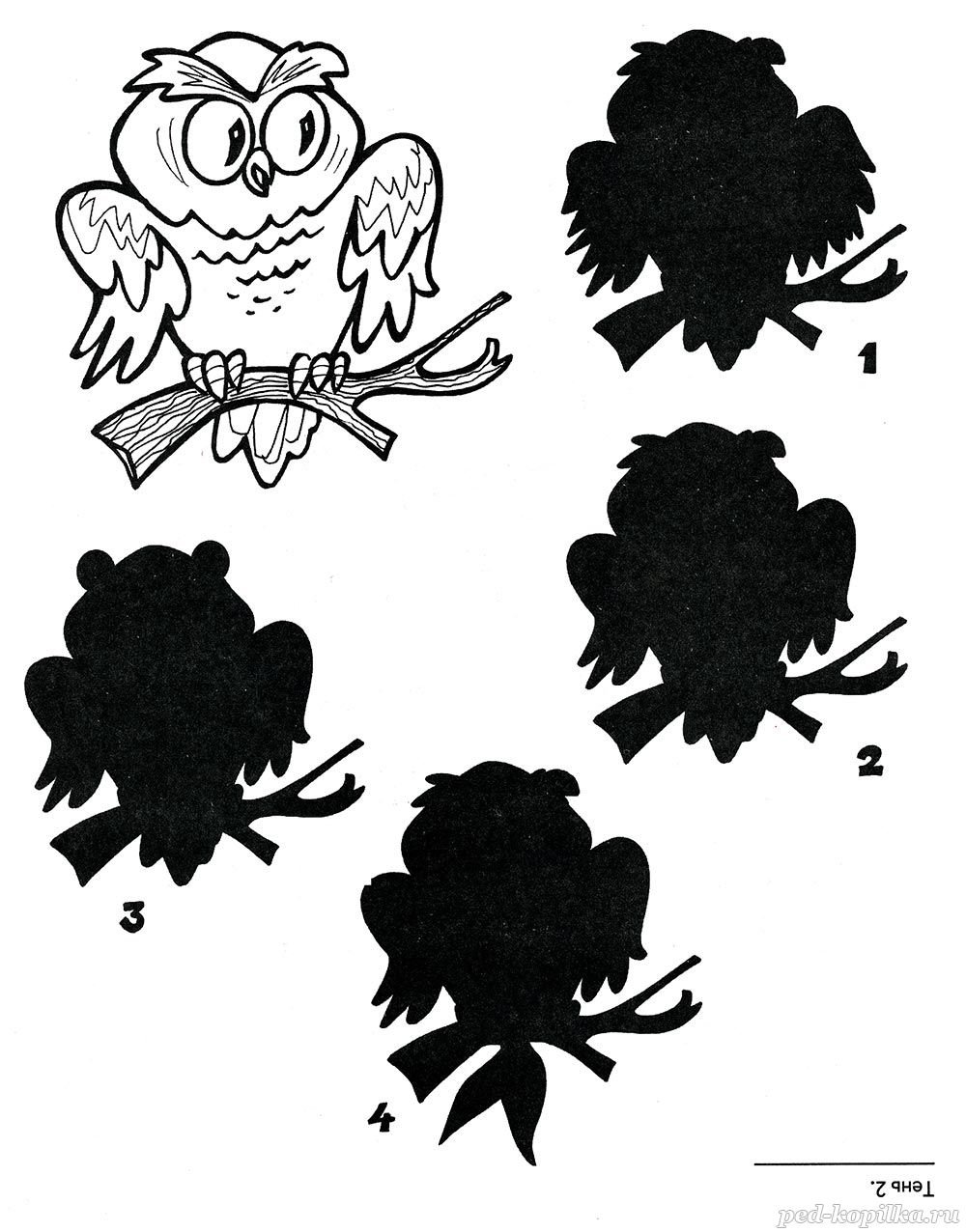 Задания для детей Найди тень