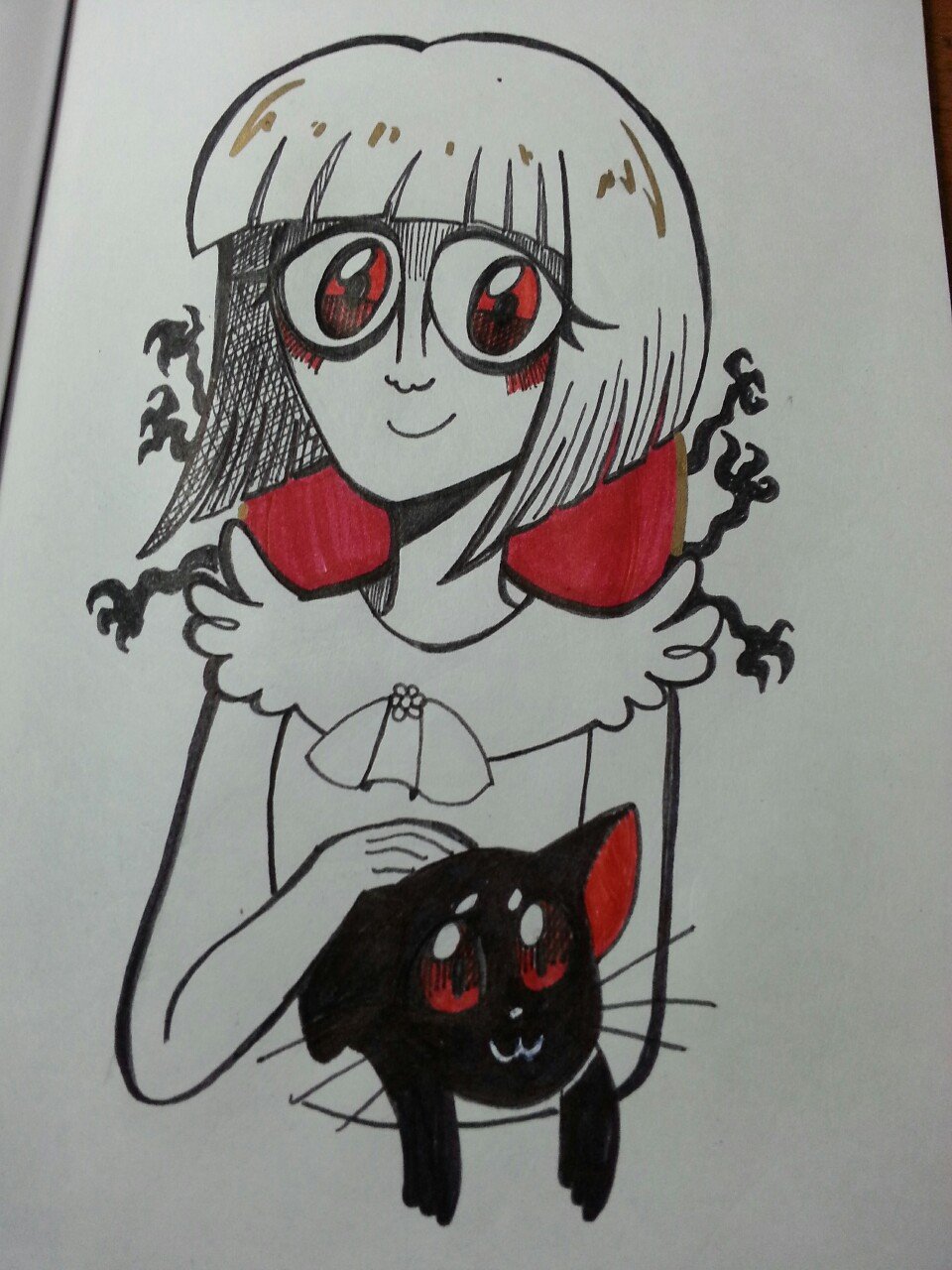 Фрэн БОУ Салли шестая