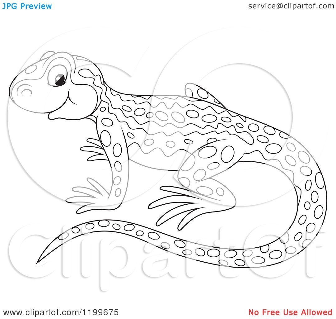 Тритон Карелина раскраска