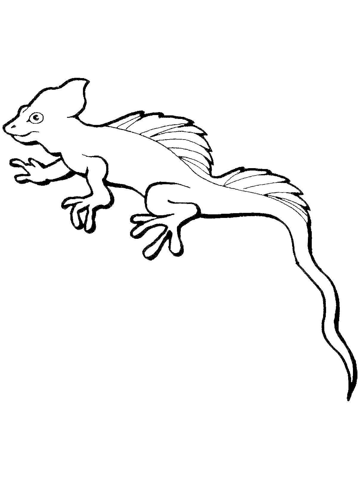 Ящерица геккон раскраска