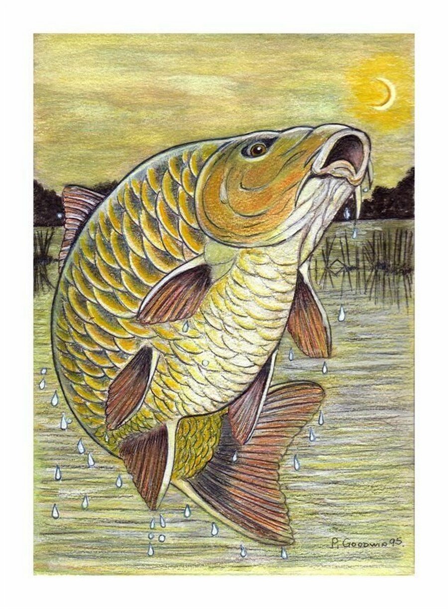 Ворон челобитчик Салтыков Щедрин