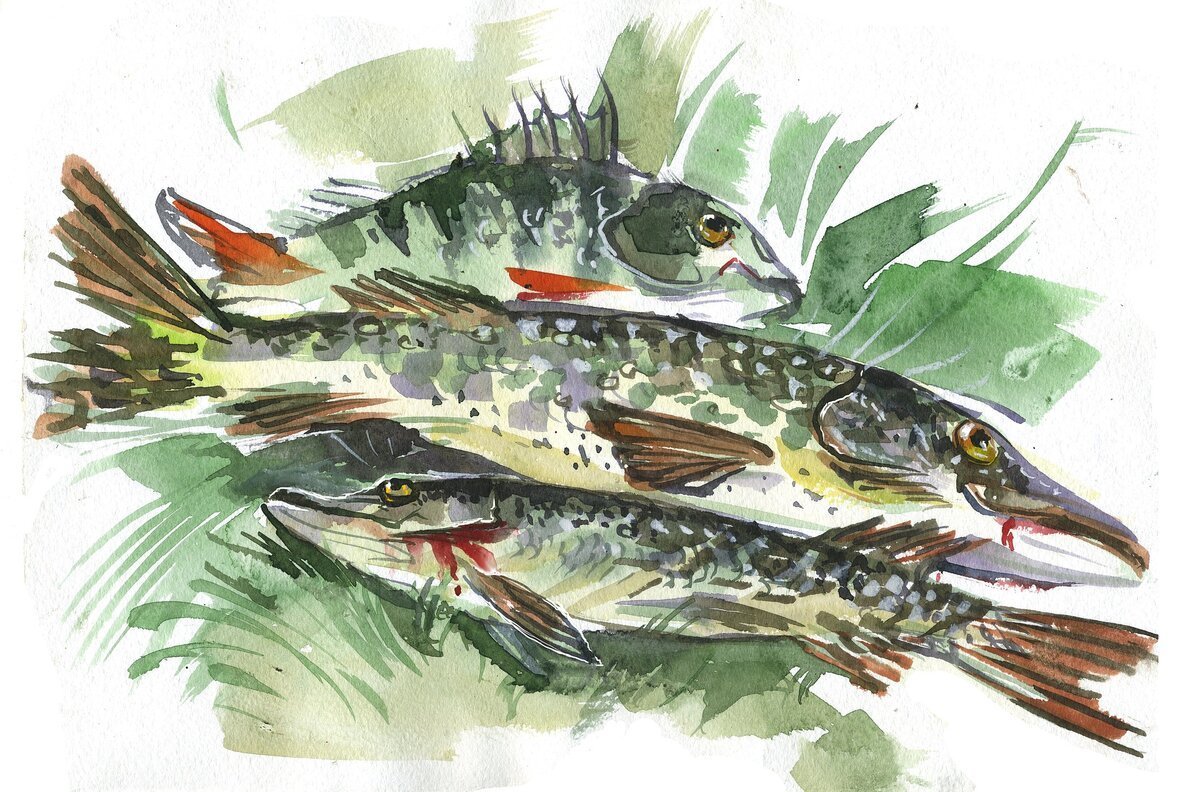 Премудрый пескарь 1979