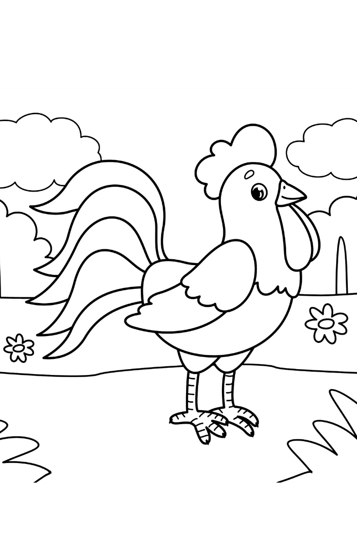 Кукушка раскраска