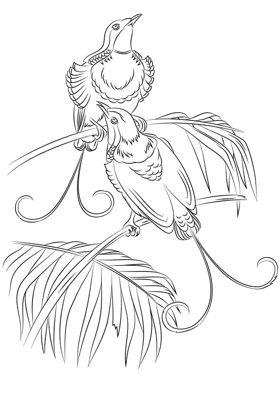 Раскраски к сказке петушок и бобовое зернышко для детей