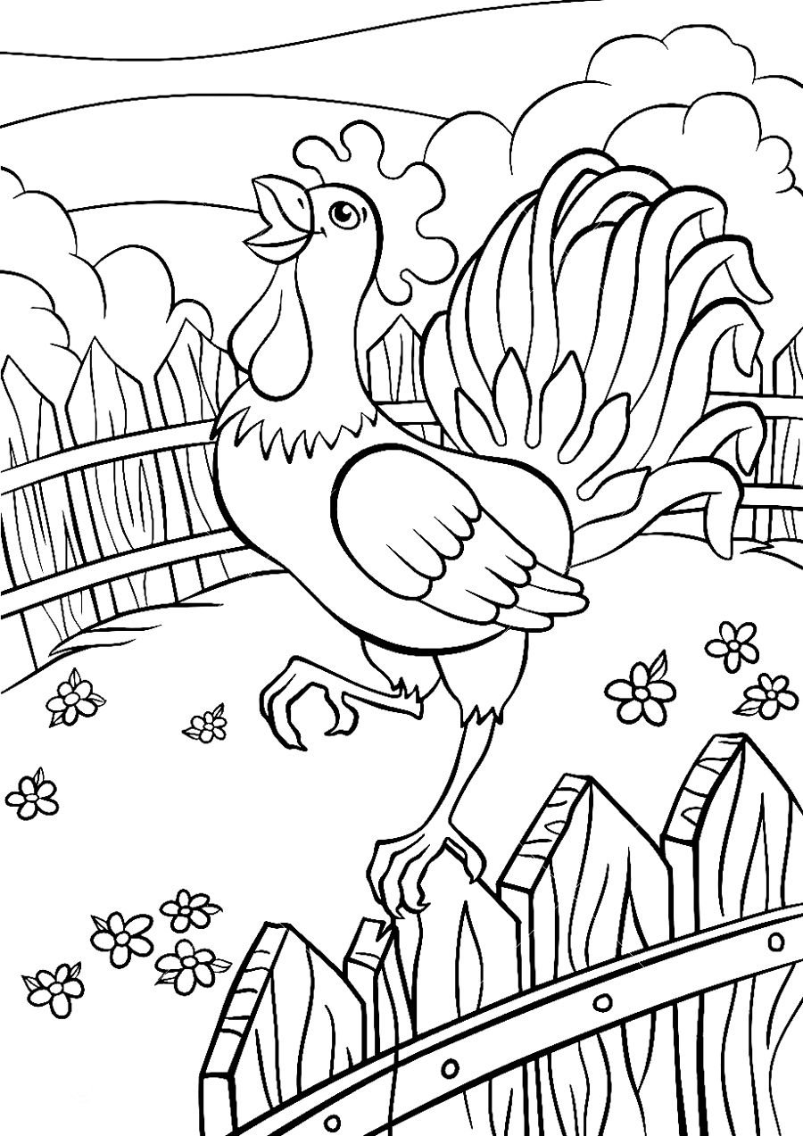 Раскраска петушок и Курочка для детей