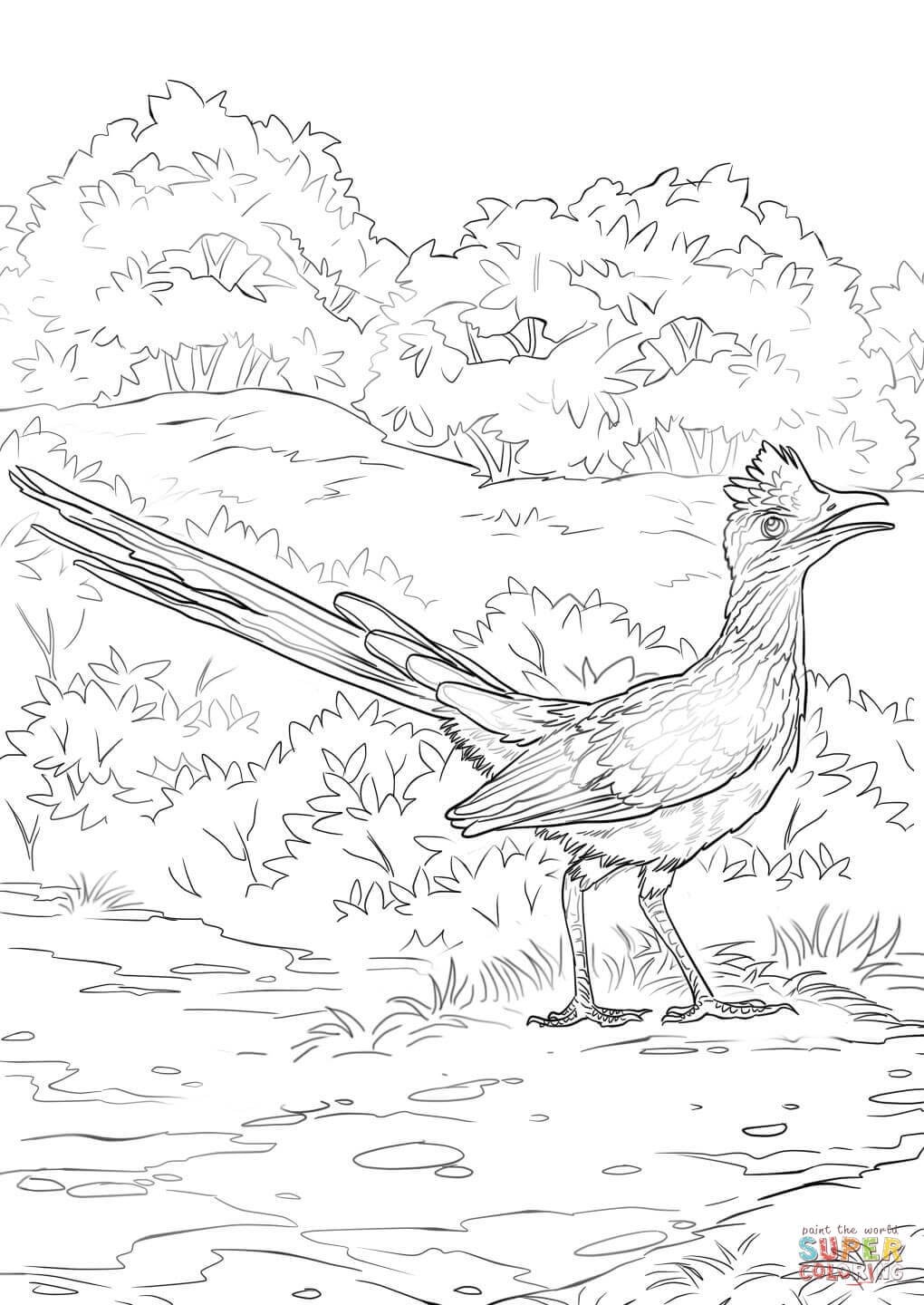 Петушок. Раскраска