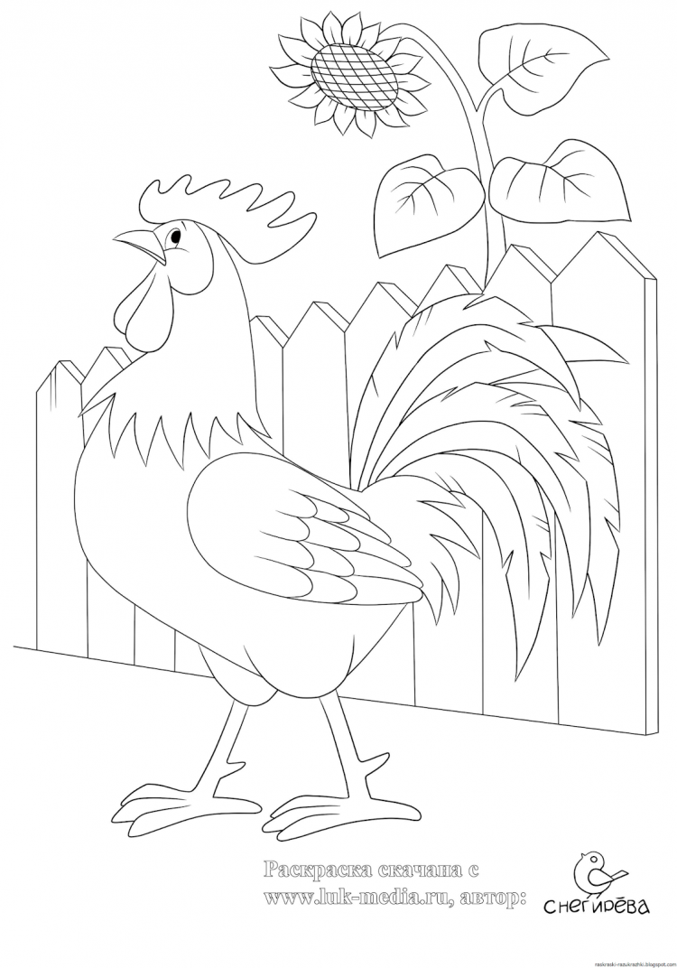 Петушок на заборе раскраска