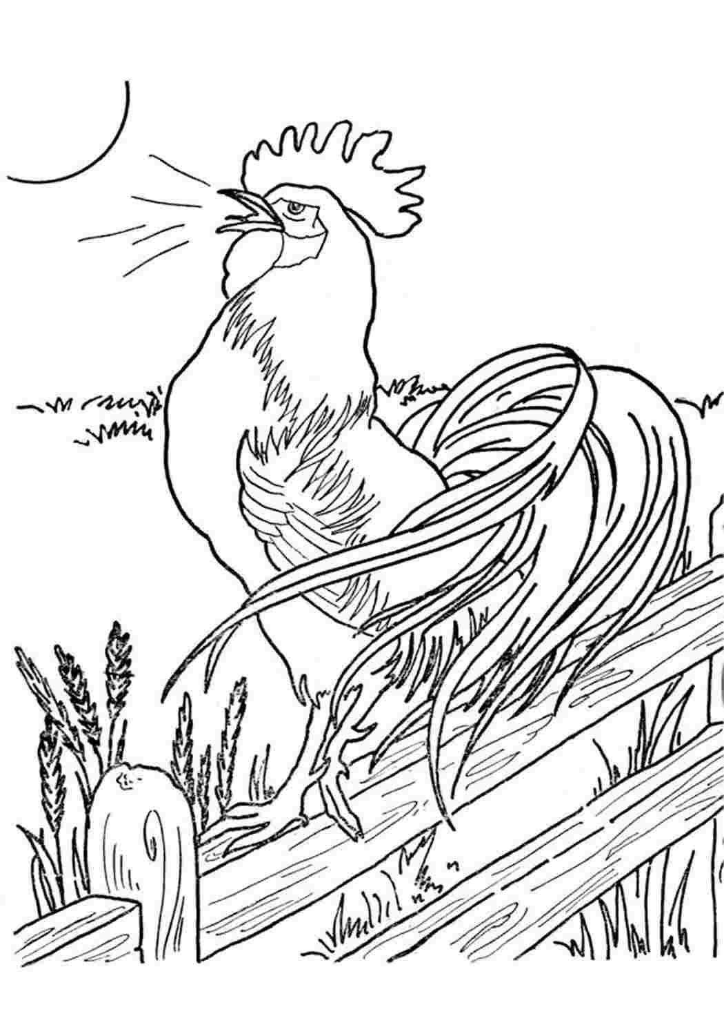 Петух антистресс