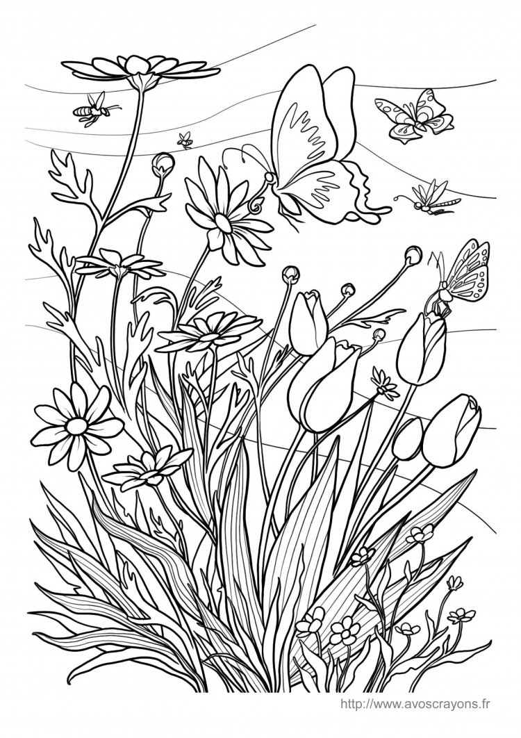 Осенний луг для разукрашивания