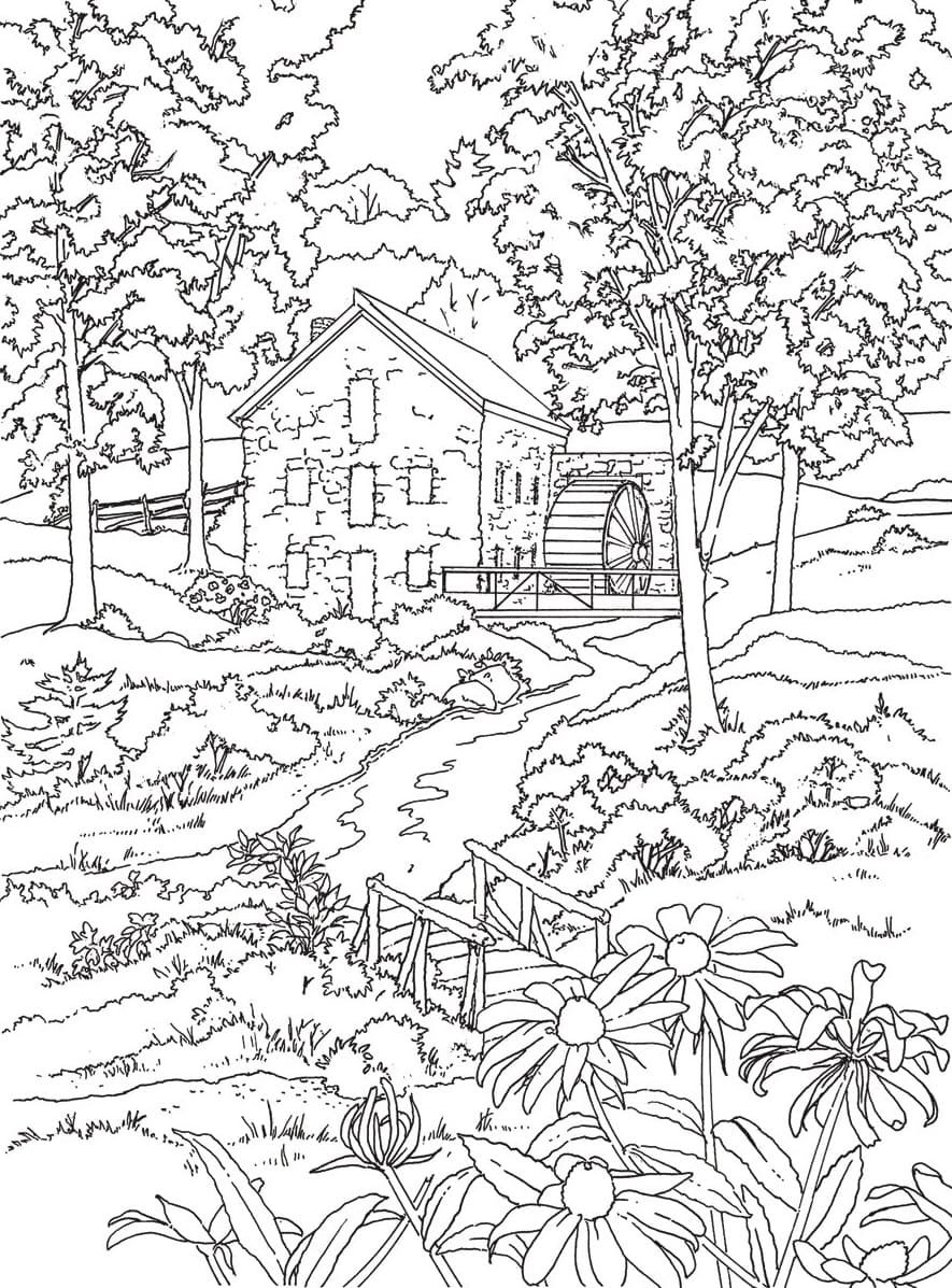 Японская природа раскраска