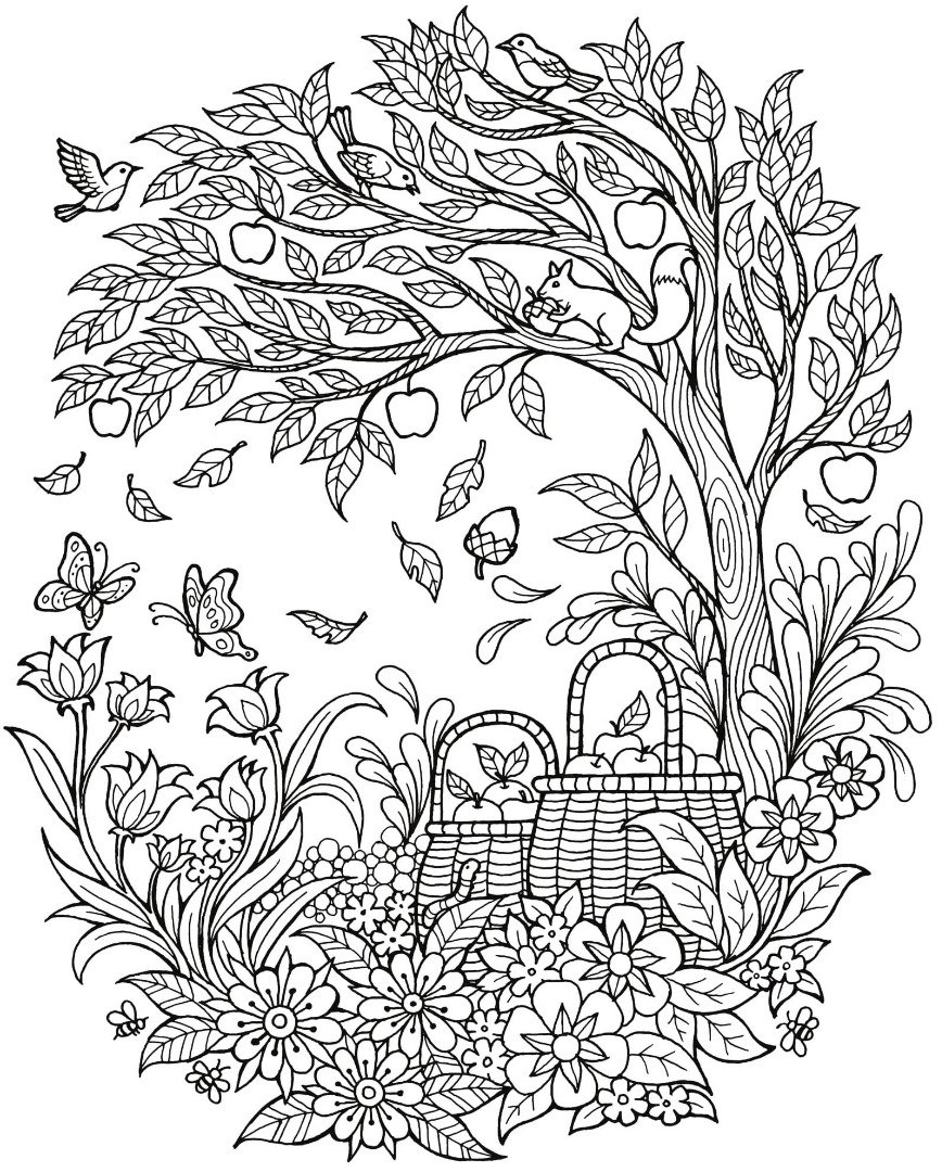 Самые сложные раскраски в мире