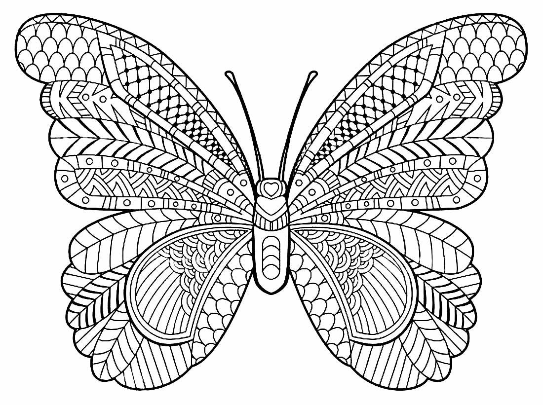 Раскраска "бабочки"