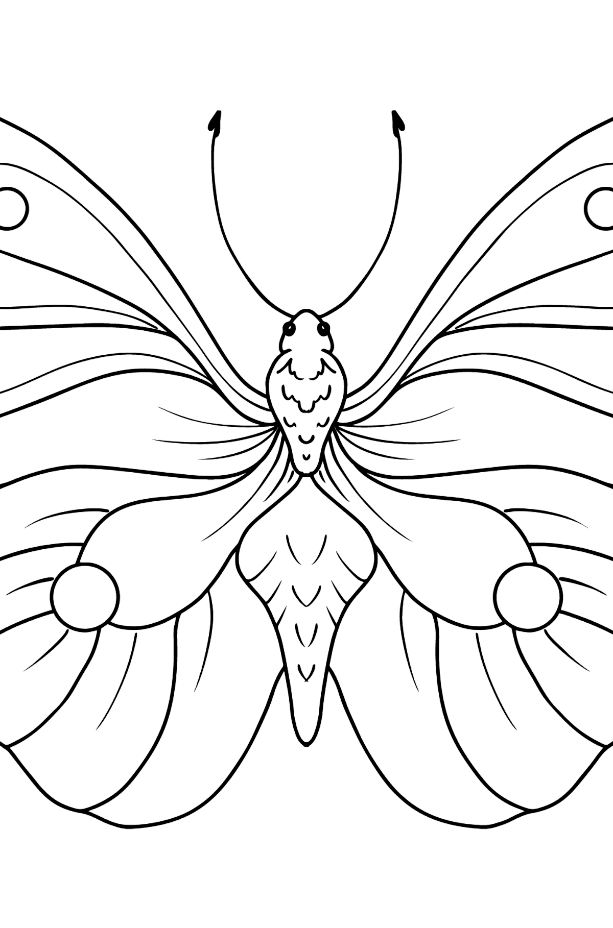 Раскраски для девочек бабочки