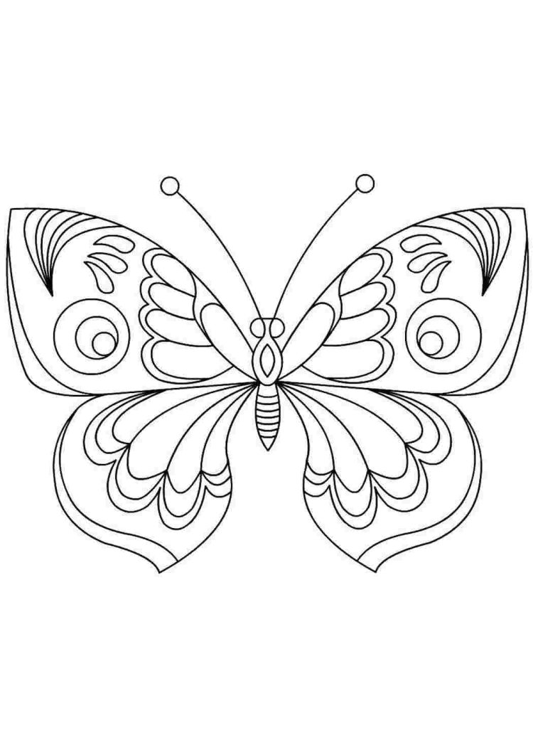 Моль рисунок