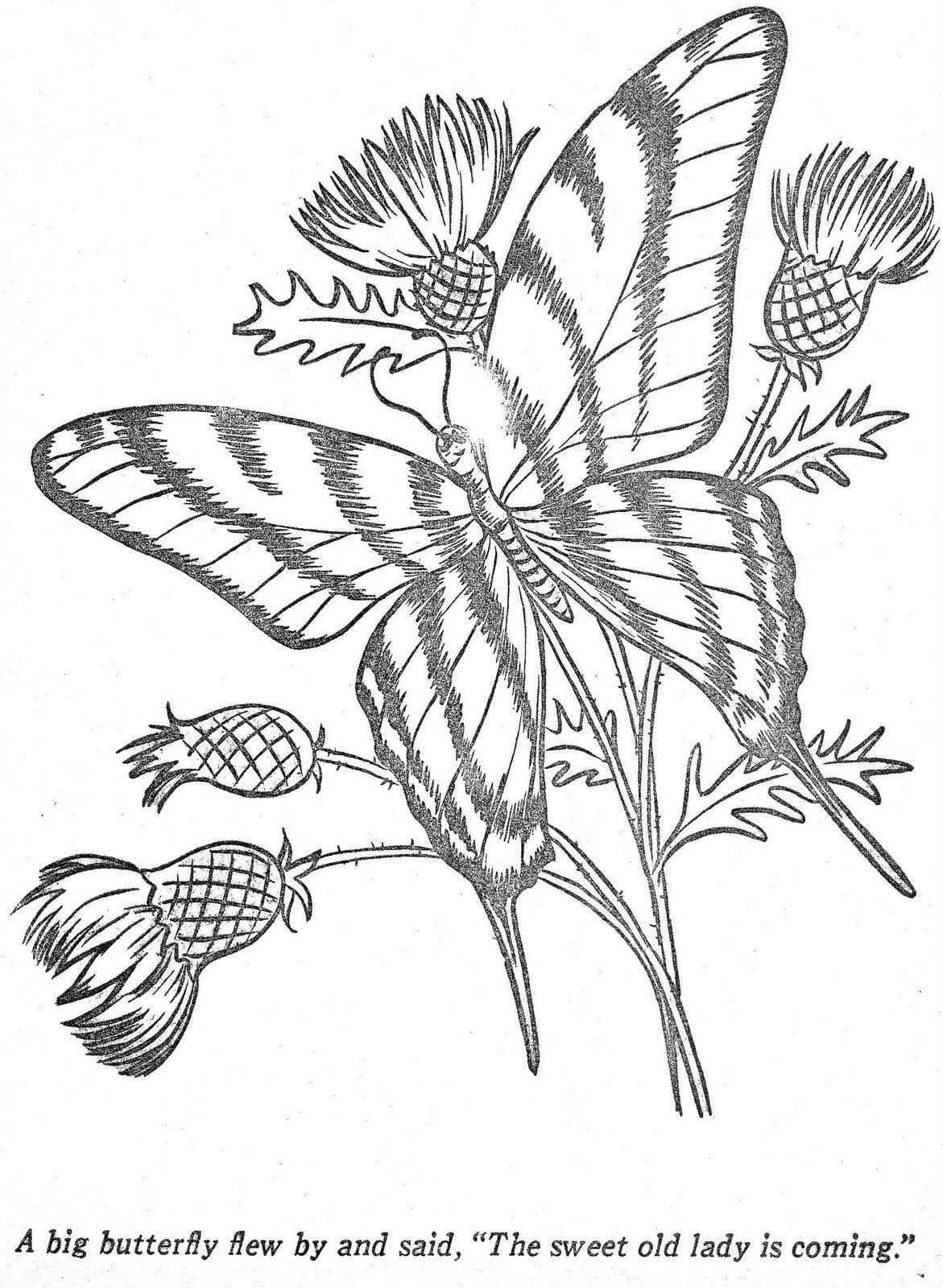 Витраж бабочка трафарет