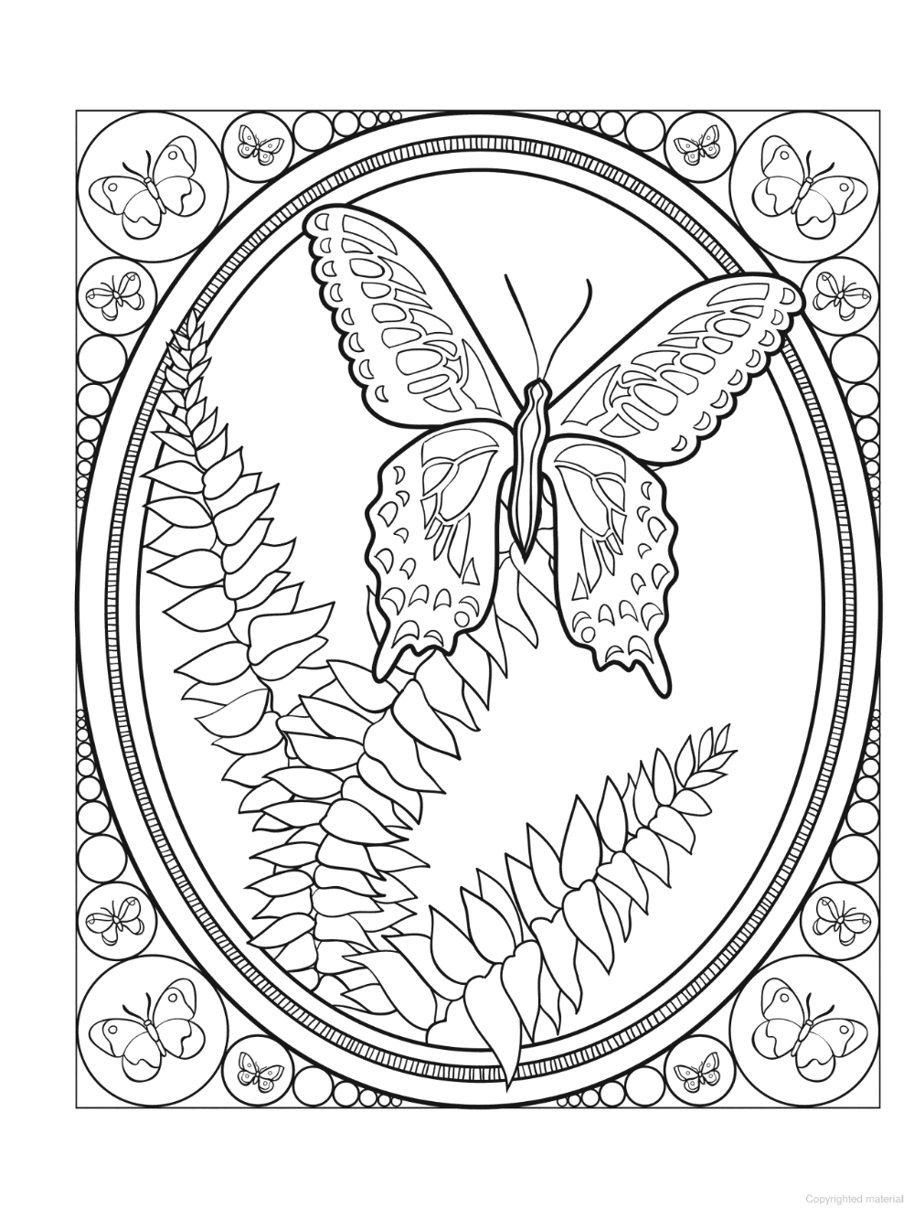 Раскраска "бабочки"