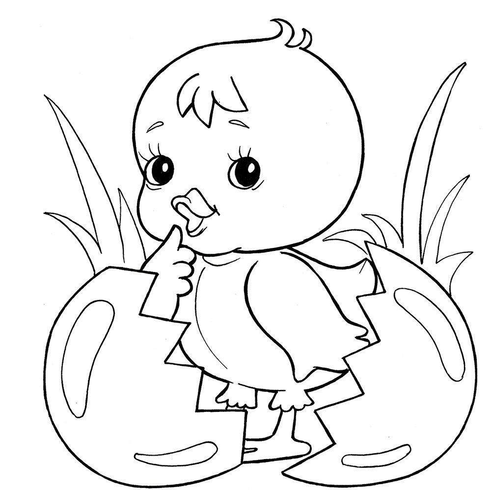 Цыпленок Цыпа раскраска