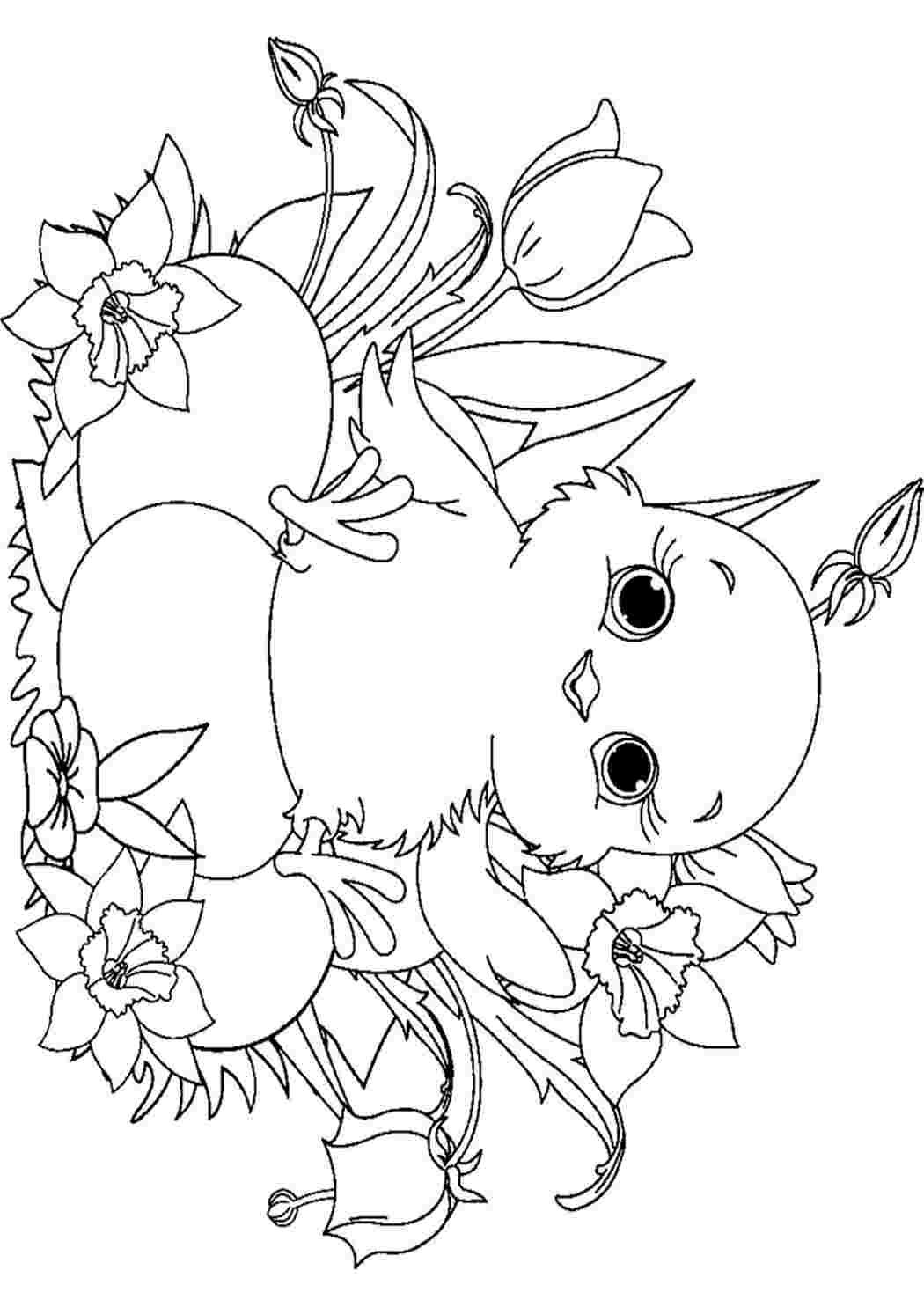 Цыпленок Комо разукрашка