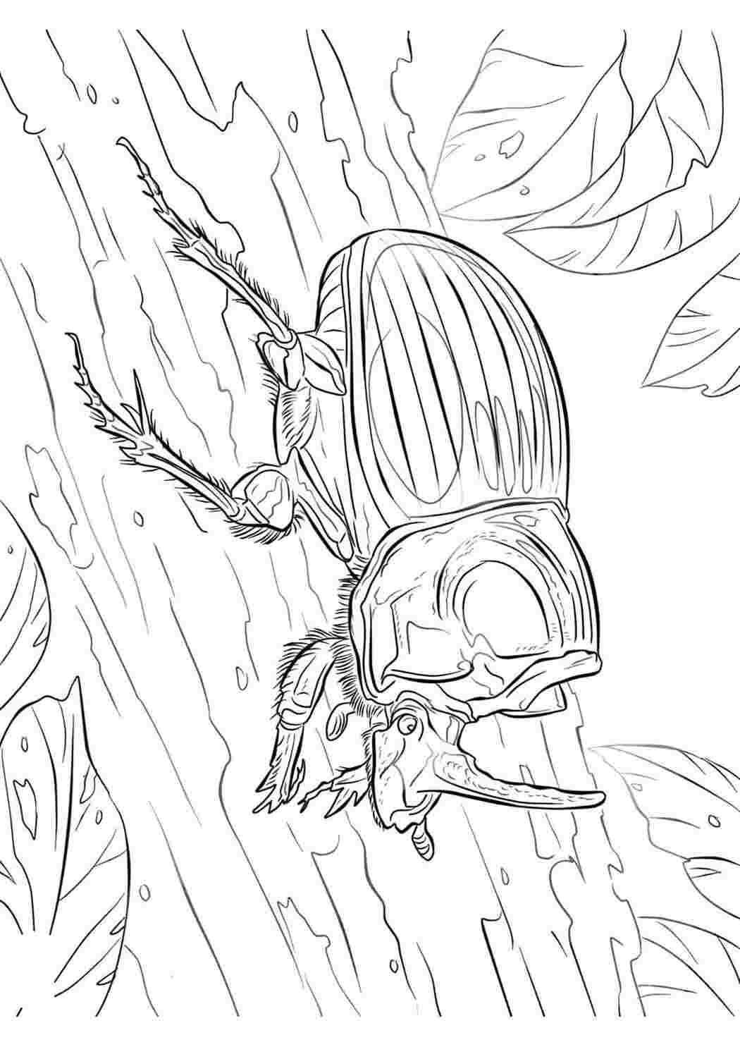 Медведка вектор