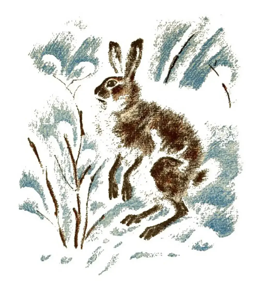 Евгений Чарушин Васька Бобка и крольчиха обложка