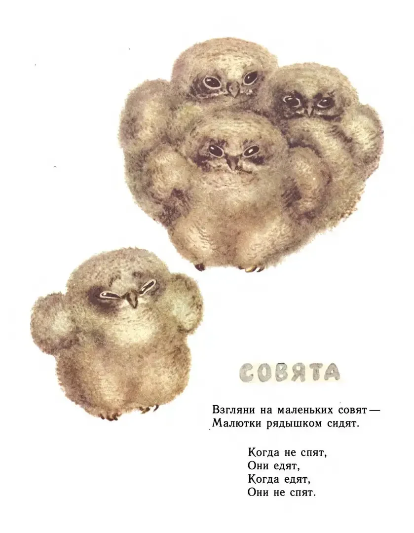 Иллюстрации чарушина про зайчат