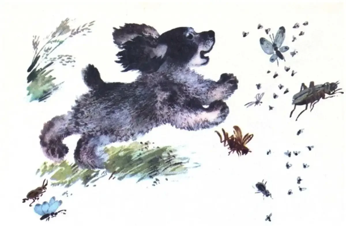 Евгений Чарушин рассказ кошка Маруська