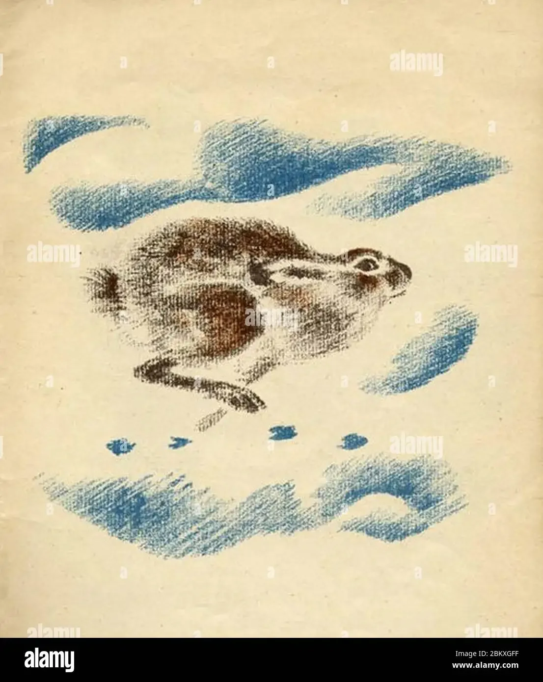 Чарушин Евгений Иванович рассказы