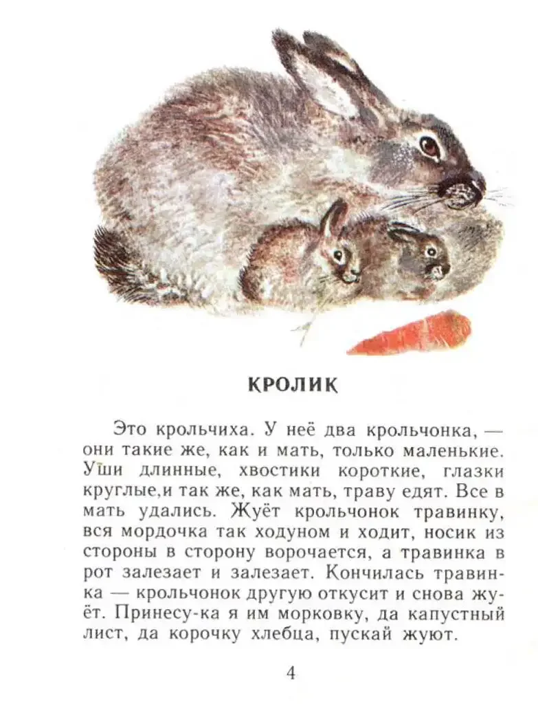 Виталий Бианки Лесные разведчики