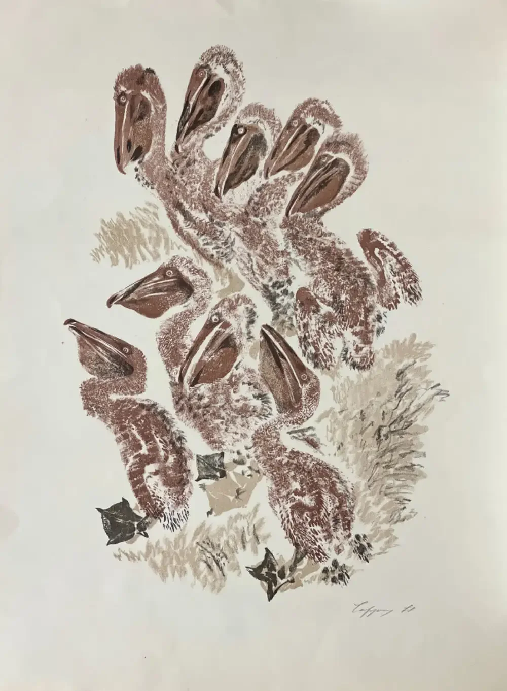 Евгений Чарушин рассказы про Томку