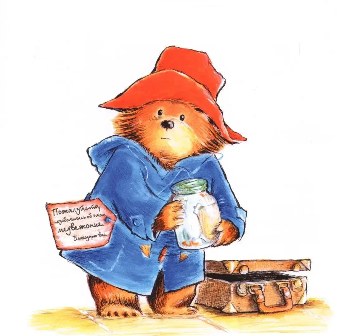 Мишка Паддингтон раскраска