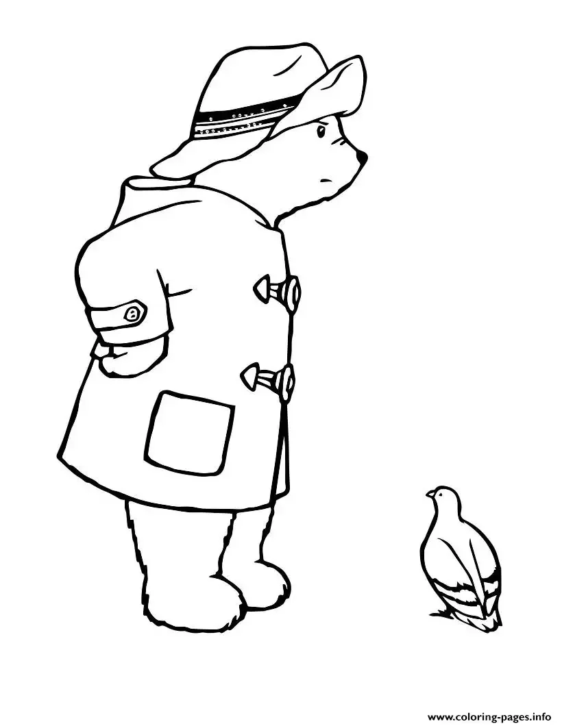 Мишка Паддингтон раскраска