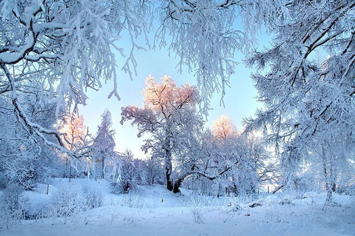 Мороз и солнце живопись