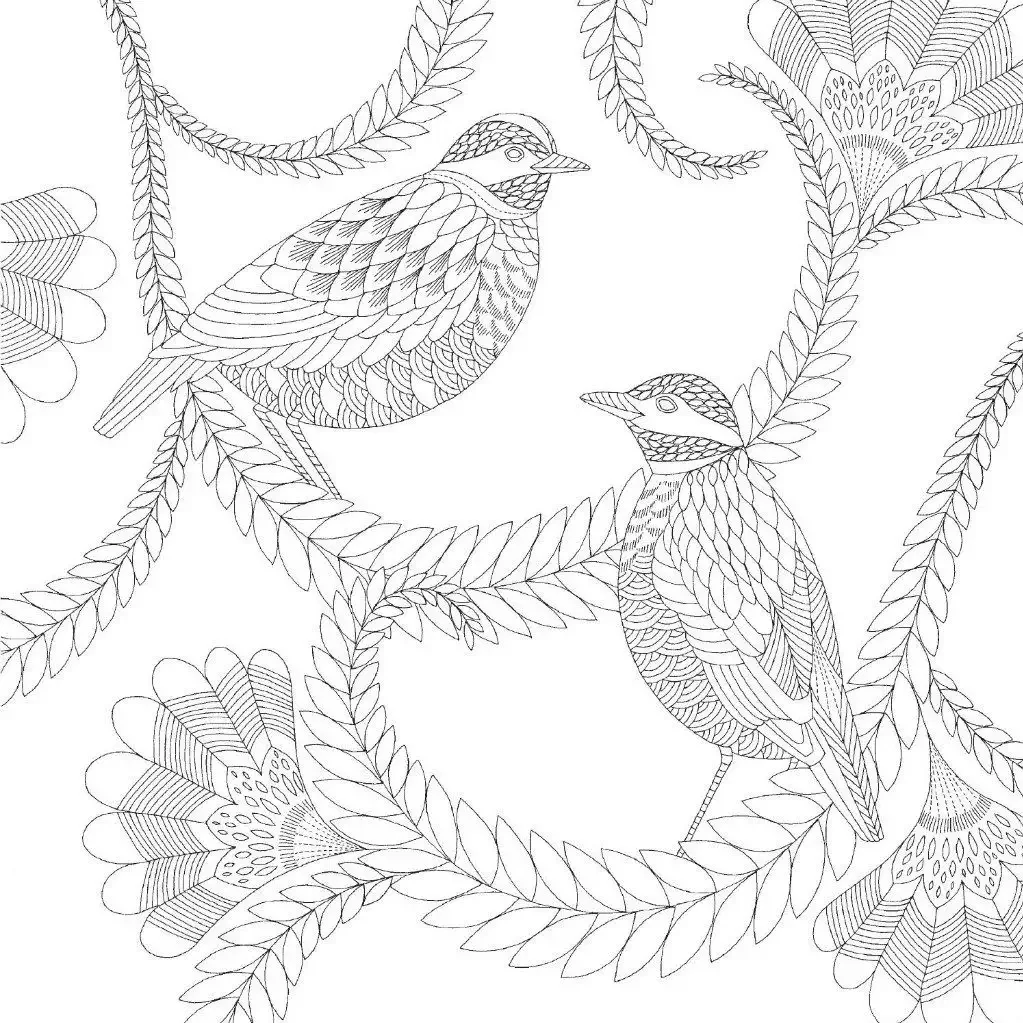 Милли Маротта птицы